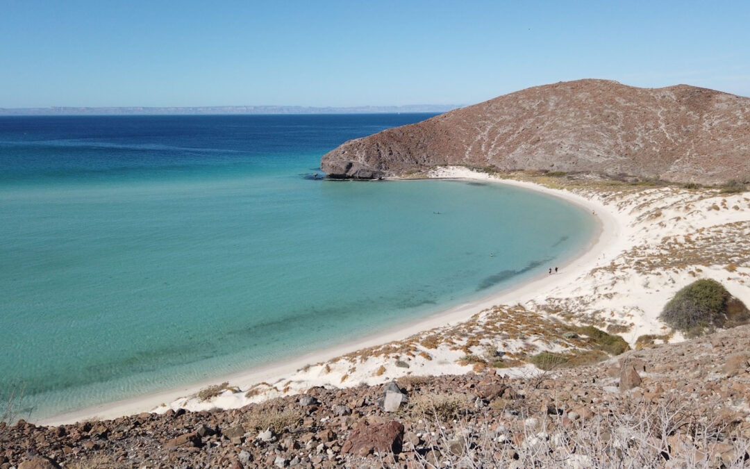5 TO 6 DAYS: Sierra de la Laguna · Santiago · East Cape · Cabo Pulmo