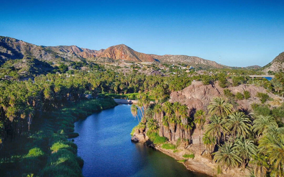 Mulege